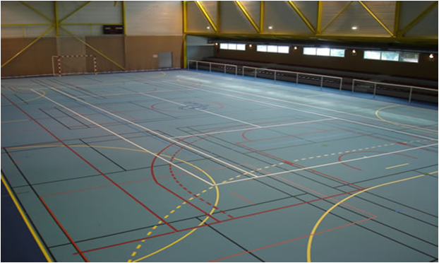 Tournoi Mini Hand - Challenge Henri Didon -9 ans